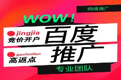 百度SEO推广公司案例汇编：实战优化策略全解析